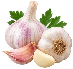 Garlic extract in {{OFFER_NAME}}